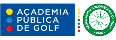 Academia_publica (1).png